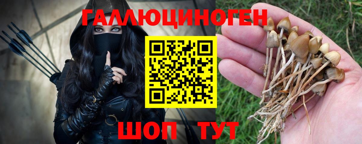 Псилоцибиновые грибы Psilocybe  Вход с VPN  купить  сайты  Галлюциногенные грибы мухоморы  Мелеуз 