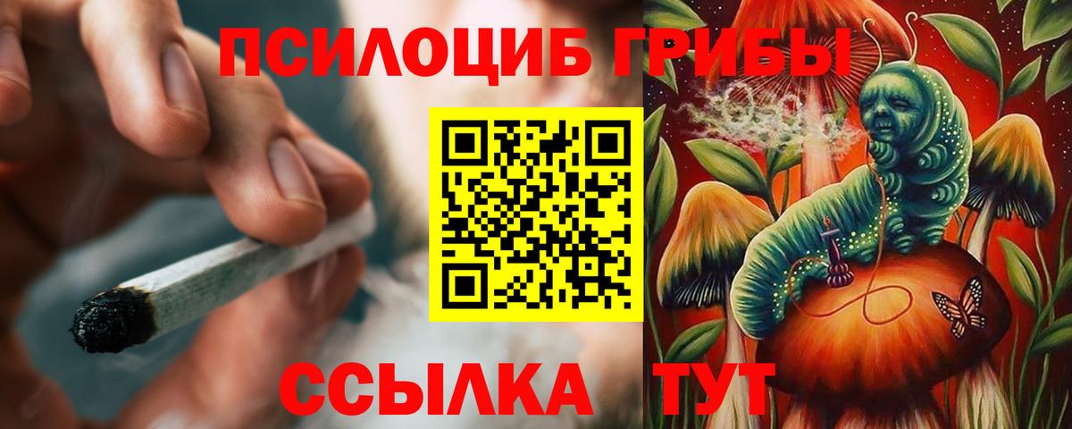 Галлюциногенные грибы Cubensis Мелеуз